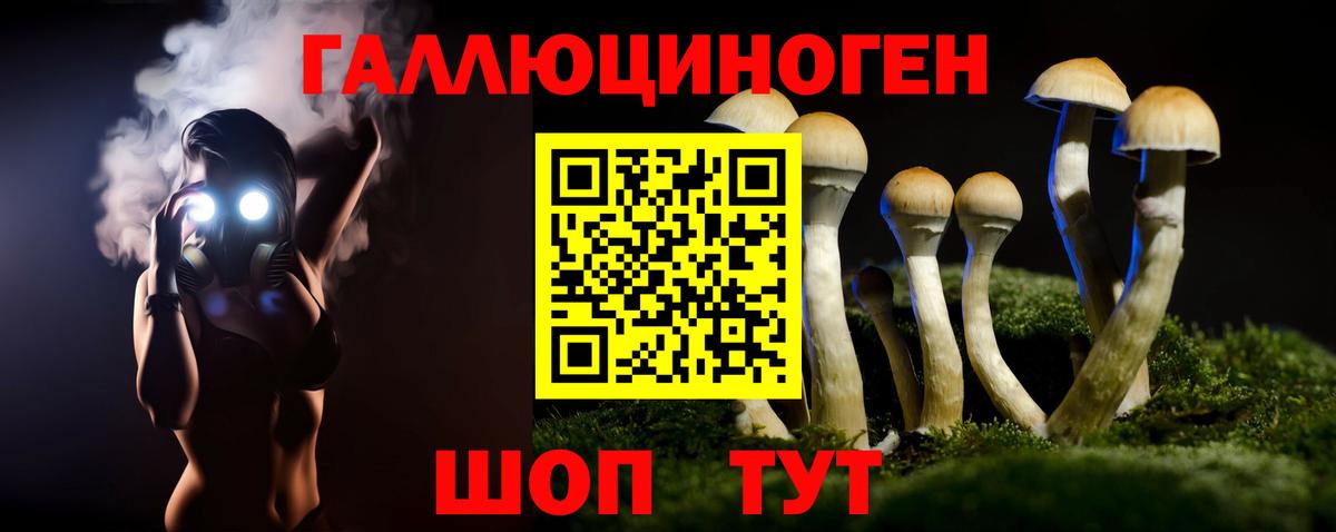Галлюциногенные грибы Psilocybine cubensis Десногорск